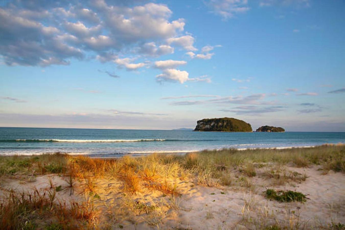 Joy'S Rest Cabin - Whangamata Hotell Eksteriør bilde